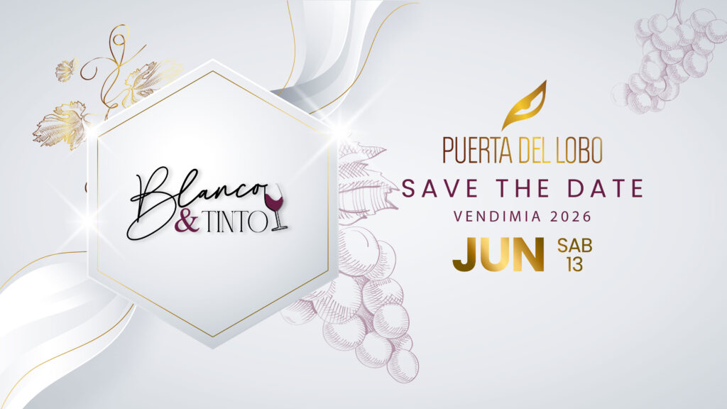 Vendimia Blanco y Tinto 2026