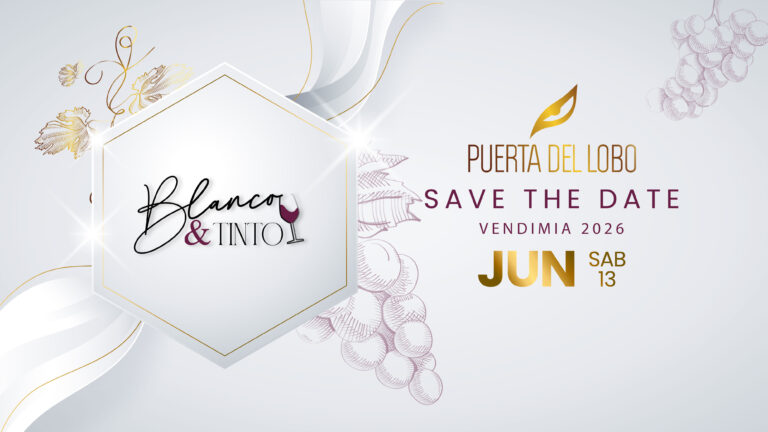Vendimia Blanco y Tinto 2026
